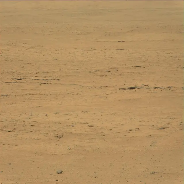 Sol 42: Mast Camera (Mastcam)