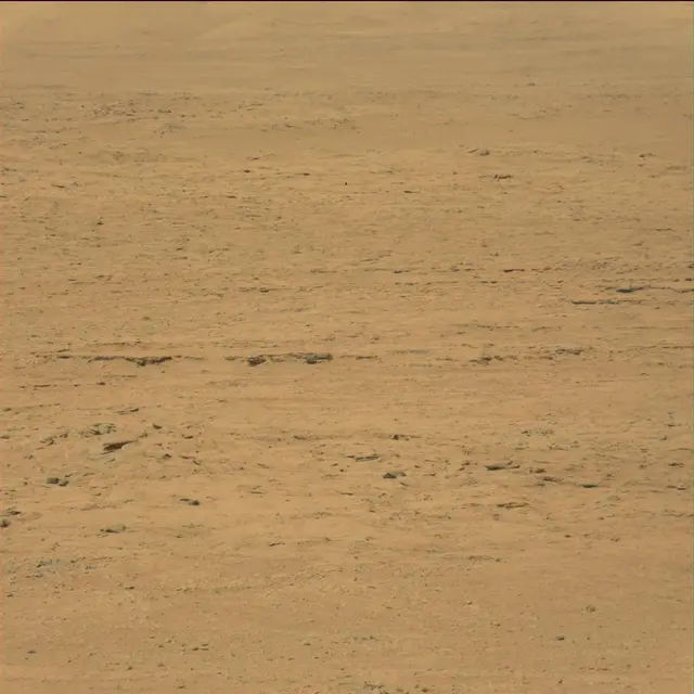 Sol 42: Mast Camera (Mastcam)