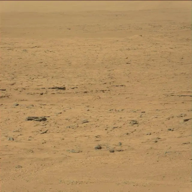 Sol 42: Mast Camera (Mastcam)