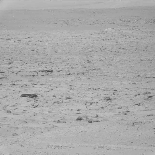 Sol 42: Mast Camera (Mastcam)