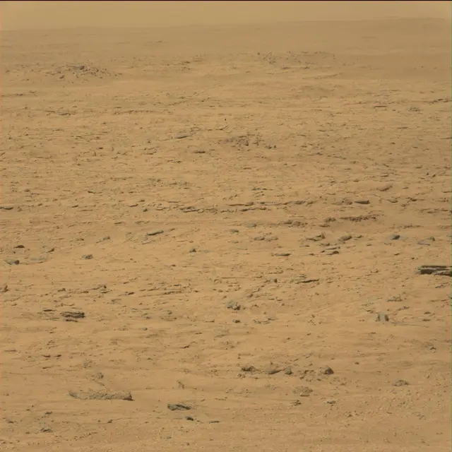 Sol 42: Mast Camera (Mastcam)