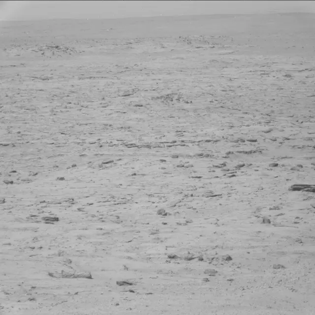 Sol 42: Mast Camera (Mastcam)