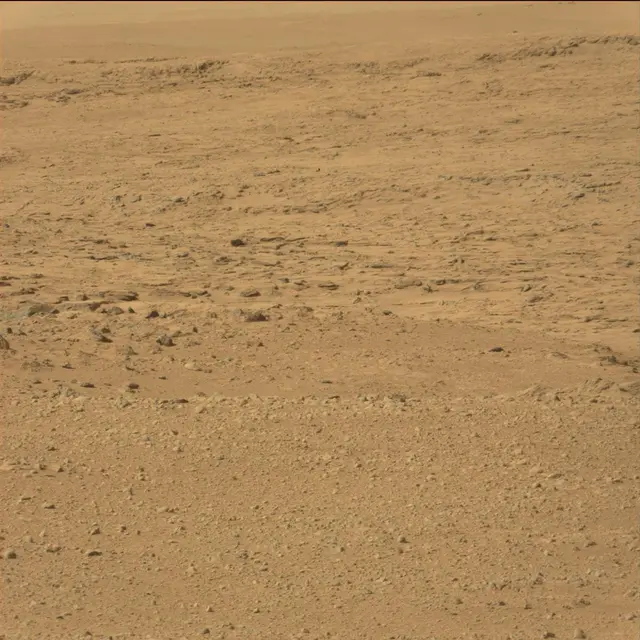 Sol 42: Mast Camera (Mastcam)