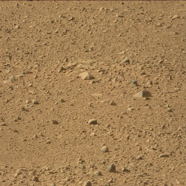 Sol 42: Mast Camera (Mastcam)