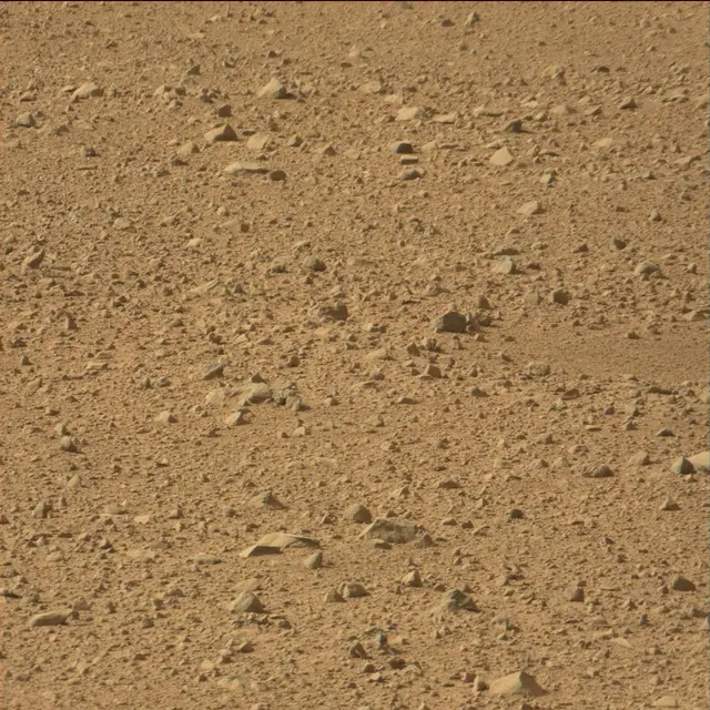 Sol 42: Mast Camera (Mastcam)
