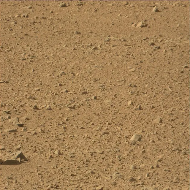 Sol 42: Mast Camera (Mastcam)