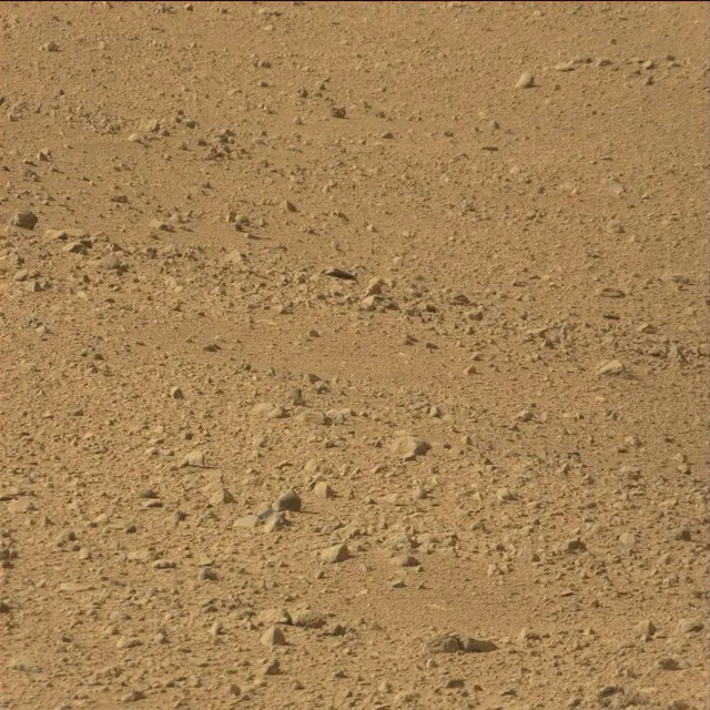 Sol 42: Mast Camera (Mastcam)