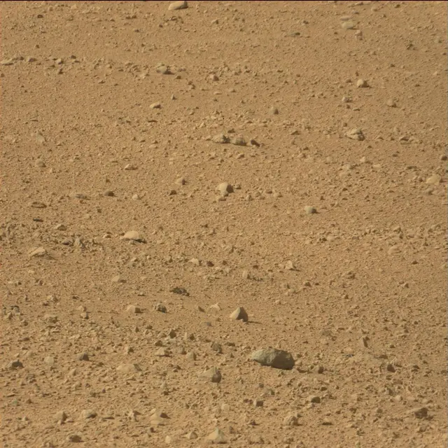 Sol 42: Mast Camera (Mastcam)