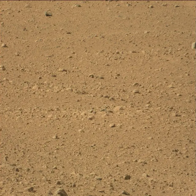 Sol 42: Mast Camera (Mastcam)