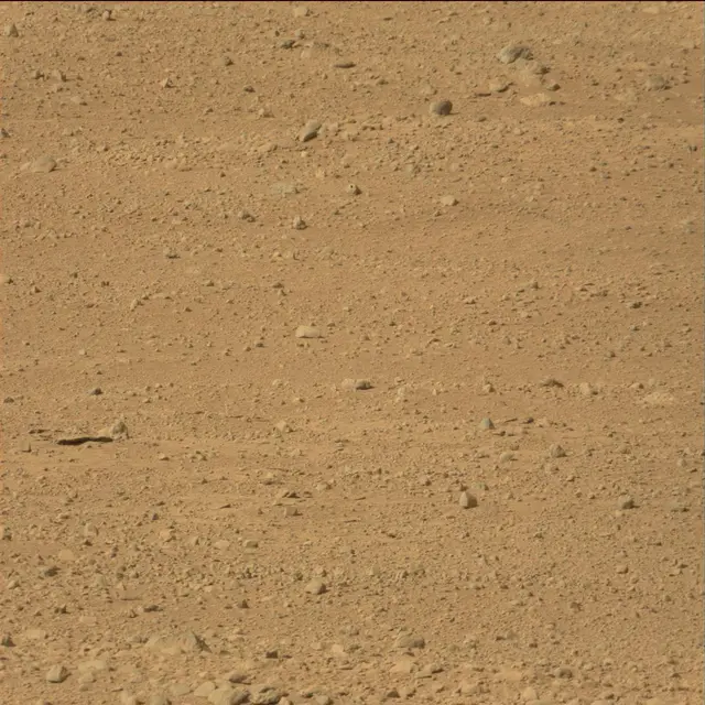 Sol 42: Mast Camera (Mastcam)