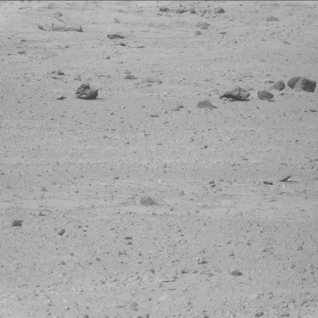 Sol 42: Mast Camera (Mastcam)