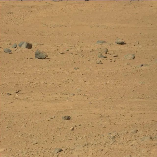 Sol 42: Mast Camera (Mastcam)