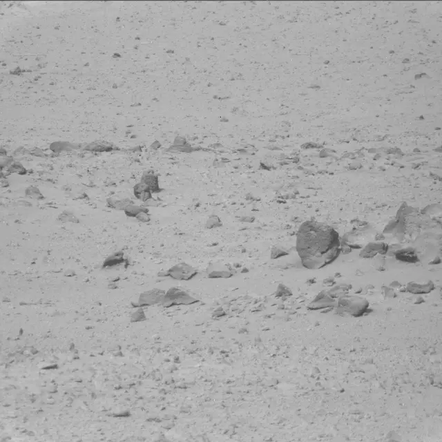 Sol 42: Mast Camera (Mastcam)