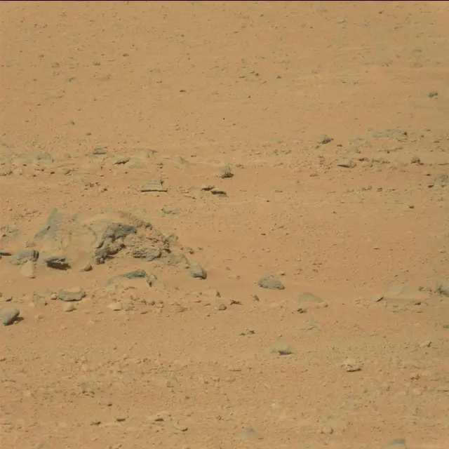 Sol 42: Mast Camera (Mastcam)