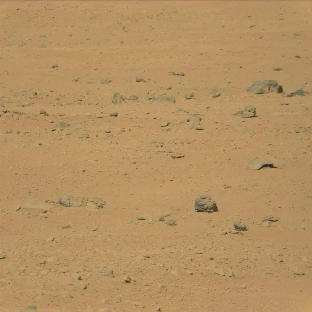 Sol 42: Mast Camera (Mastcam)