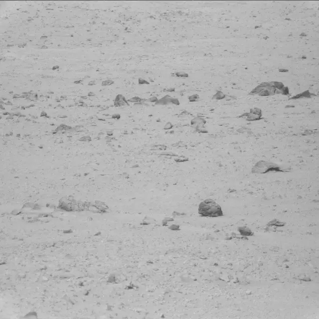 Sol 42: Mast Camera (Mastcam)