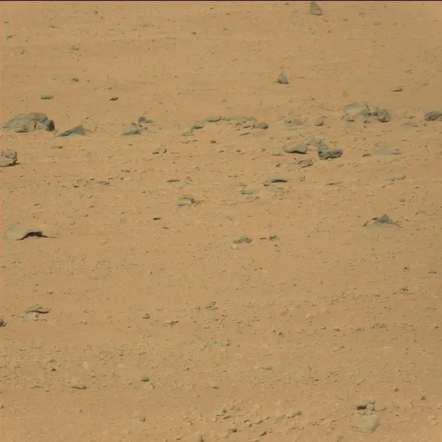 Sol 42: Mast Camera (Mastcam)