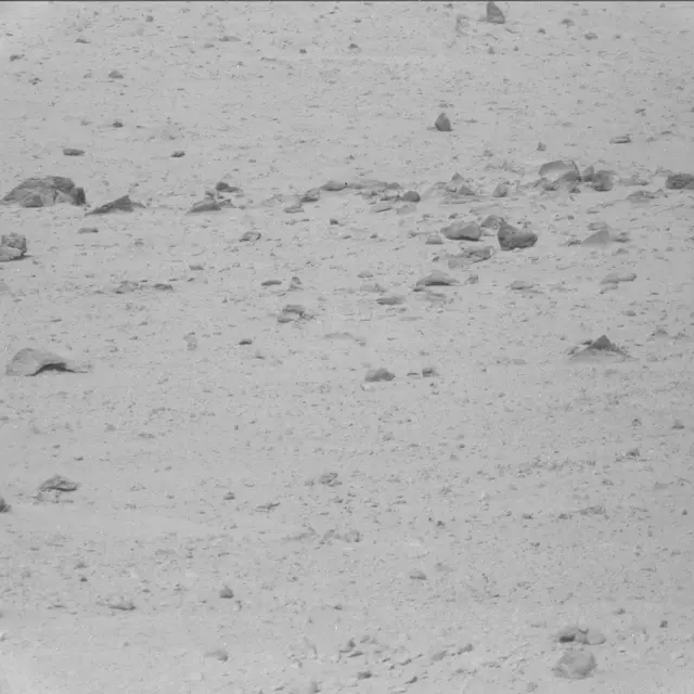 Sol 42: Mast Camera (Mastcam)