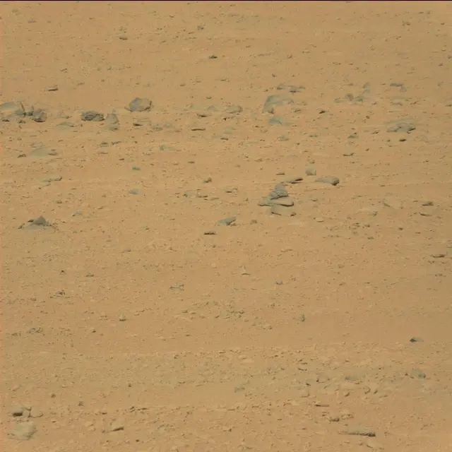 Sol 42: Mast Camera (Mastcam)