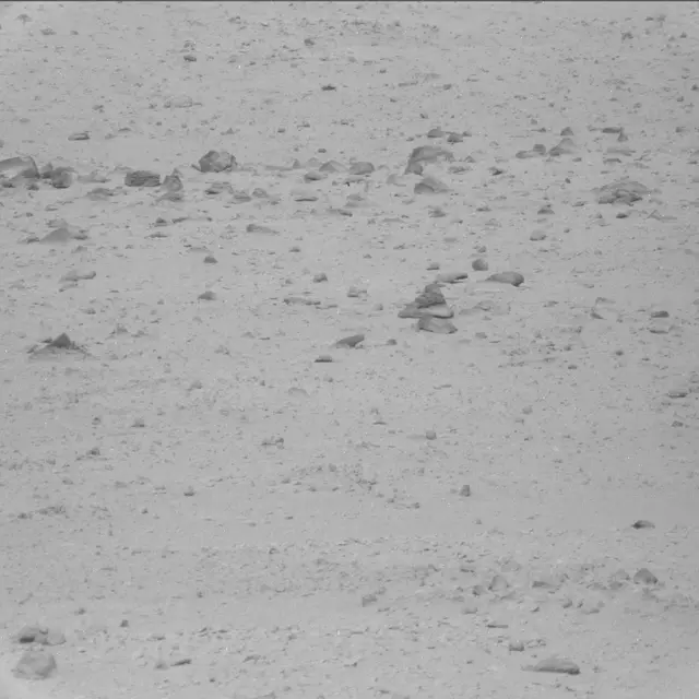Sol 42: Mast Camera (Mastcam)