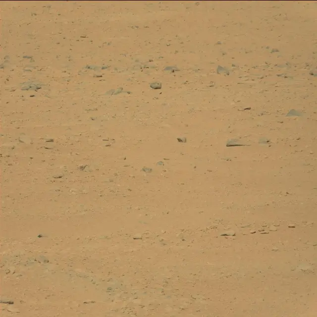 Sol 42: Mast Camera (Mastcam)