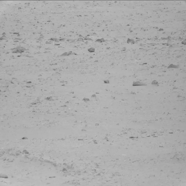 Sol 42: Mast Camera (Mastcam)