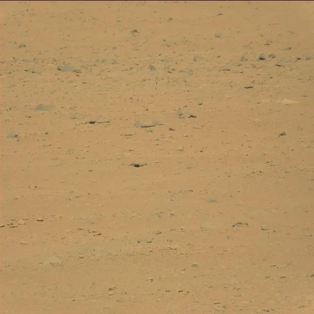 Sol 42: Mast Camera (Mastcam)