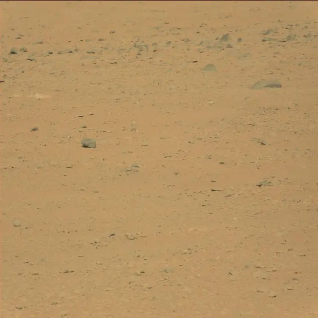 Sol 42: Mast Camera (Mastcam)