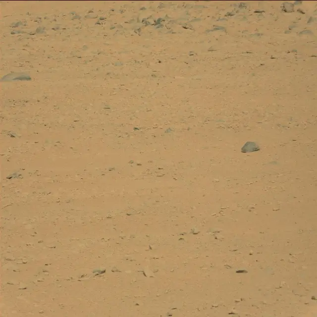 Sol 42: Mast Camera (Mastcam)