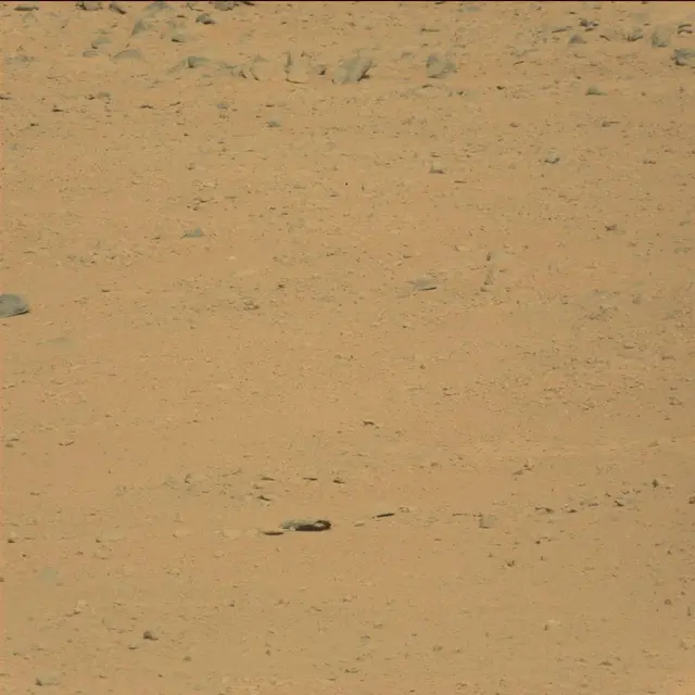 Sol 42: Mast Camera (Mastcam)