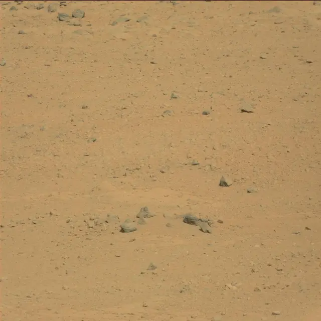 Sol 42: Mast Camera (Mastcam)