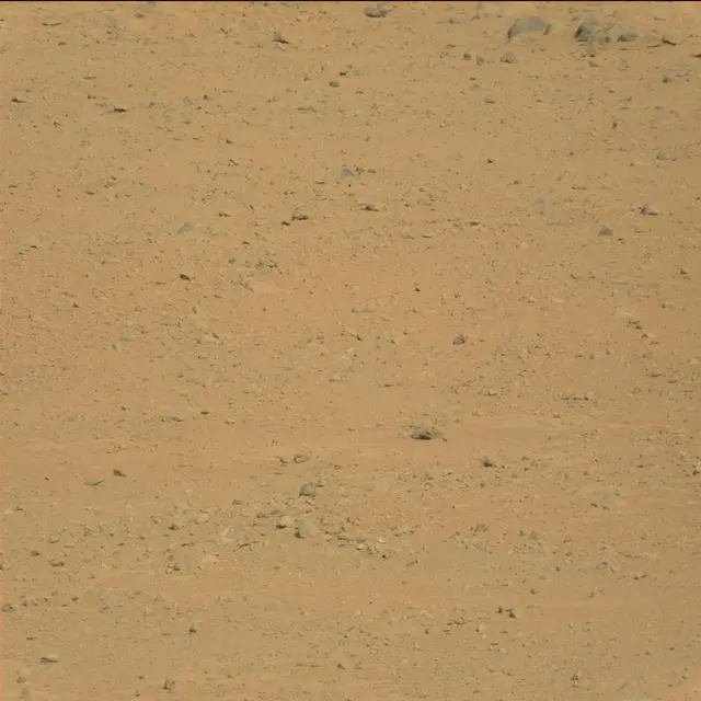 Sol 42: Mast Camera (Mastcam)