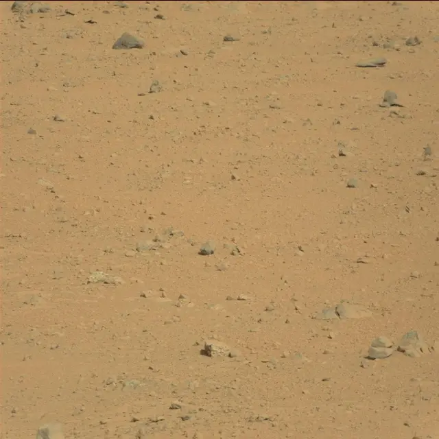 Sol 42: Mast Camera (Mastcam)