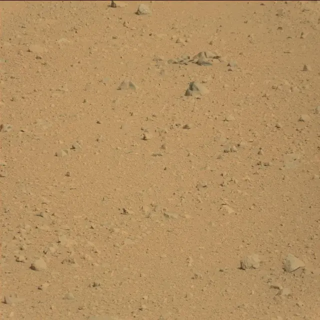 Sol 42: Mast Camera (Mastcam)