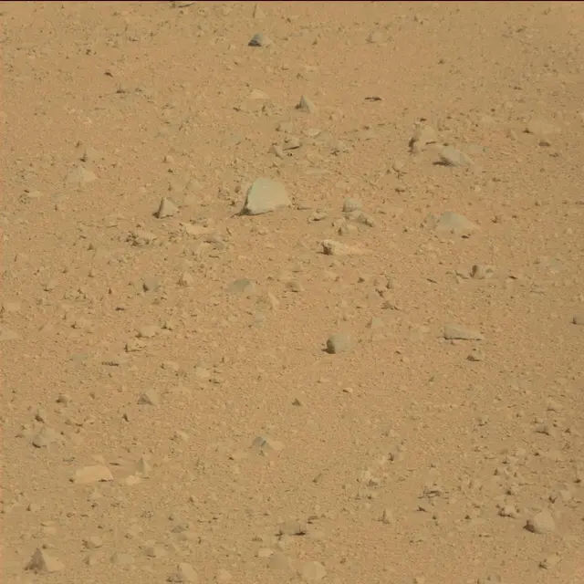 Sol 42: Mast Camera (Mastcam)