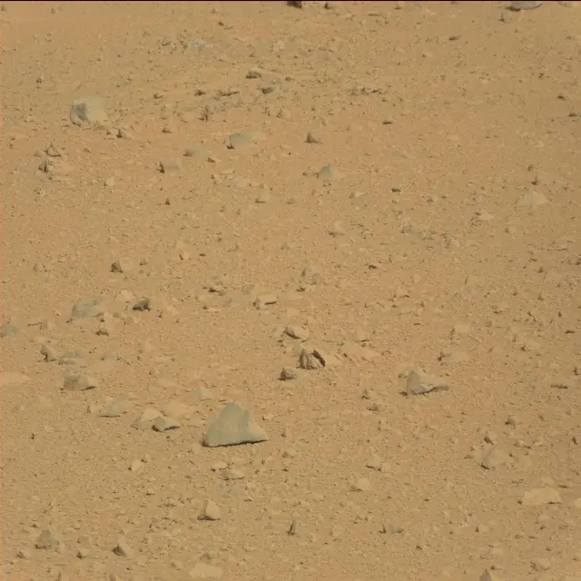 Sol 42: Mast Camera (Mastcam)