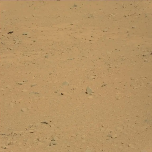 Sol 42: Mast Camera (Mastcam)
