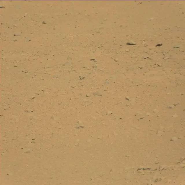 Sol 42: Mast Camera (Mastcam)