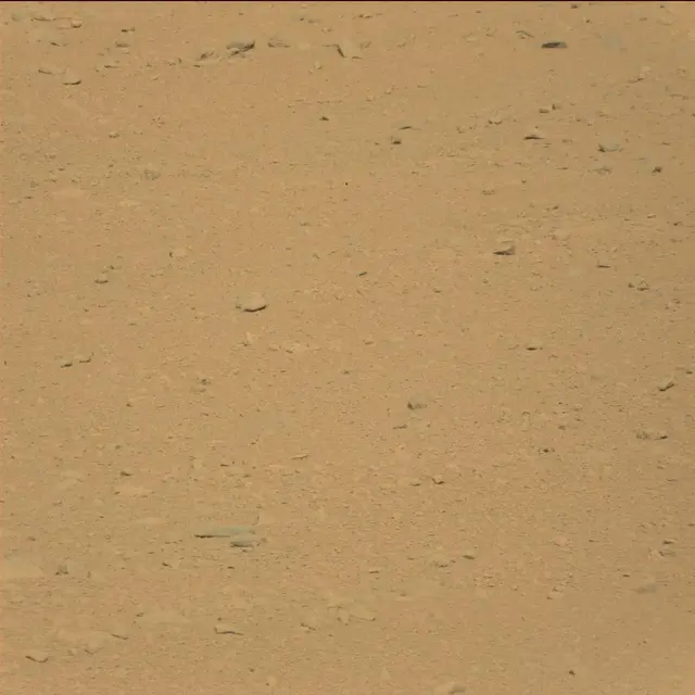Sol 42: Mast Camera (Mastcam)