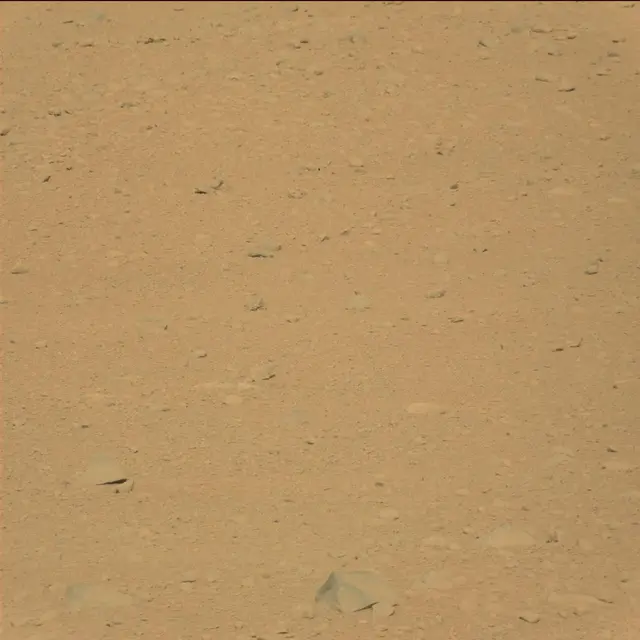 Sol 42: Mast Camera (Mastcam)