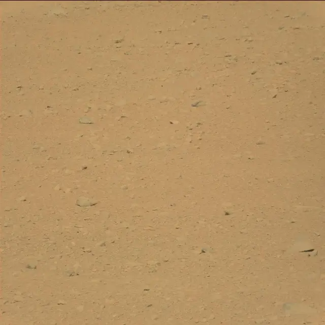 Sol 42: Mast Camera (Mastcam)