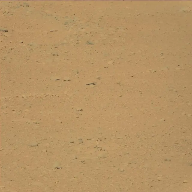 Sol 42: Mast Camera (Mastcam)