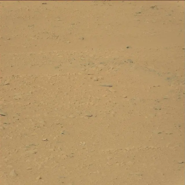 Sol 42: Mast Camera (Mastcam)