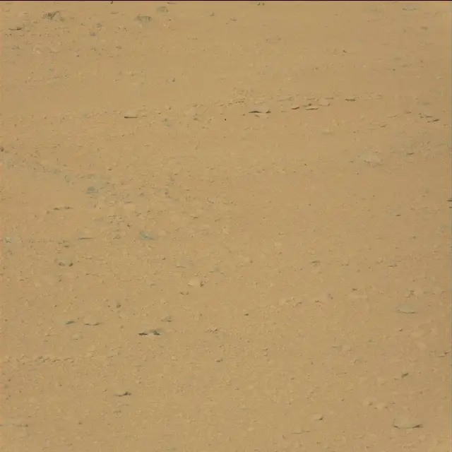 Sol 42: Mast Camera (Mastcam)