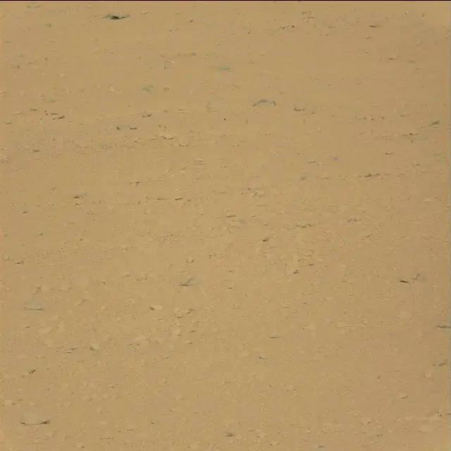 Sol 42: Mast Camera (Mastcam)