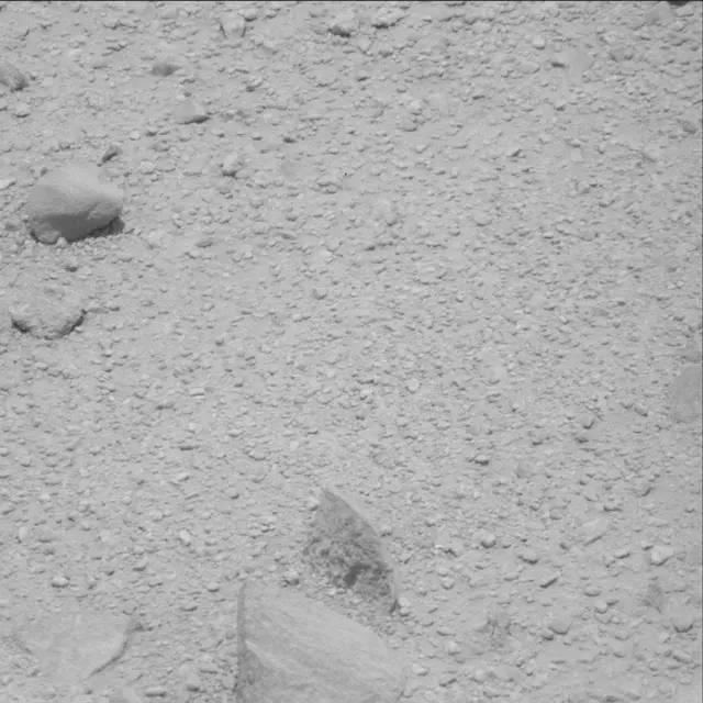 Sol 43: Mast Camera (Mastcam)
