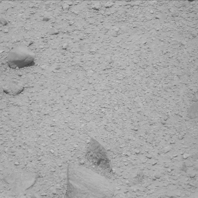 Sol 43: Mast Camera (Mastcam)