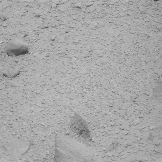 Sol 43: Mast Camera (Mastcam)