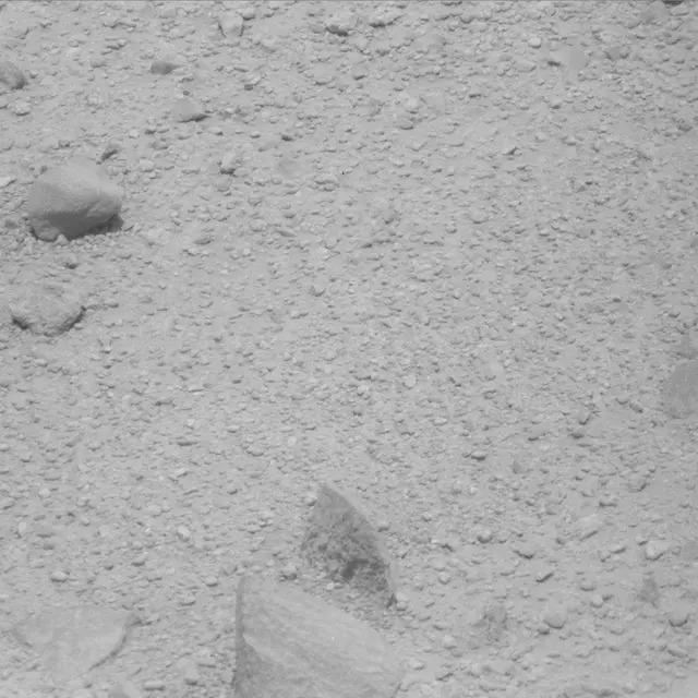 Sol 43: Mast Camera (Mastcam)