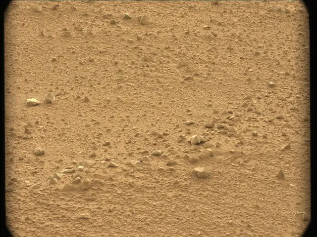 Sol 44: Mast Camera (Mastcam)